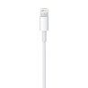 Apple Cavo da lightning a USB 2mt