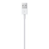 Apple Cavo da lightning a USB 2mt