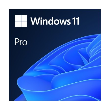 Microsoft Windows 11 Pro 1 licenza e