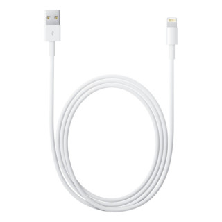 Apple Cavo da lightning a USB 2mt