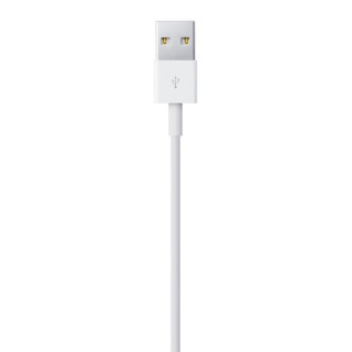 Apple Cavo da lightning a USB 2mt