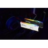 Kingston Technology FURY Beast 16 GB 6000 MT s DDR5 CL36 DIMM (Kit da 2 moduli) RGB EXPO