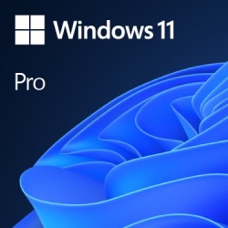 Microsoft Windows 11 Pro 1 licenza e