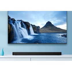 Hisense HS205G altoparlante soundbar Nero 2.0 canali 60 W