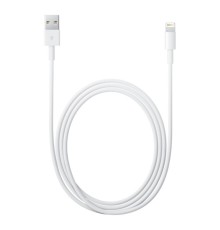 Apple Cavo da lightning a USB 2mt