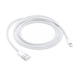 Apple Cavo da lightning a USB 2mt