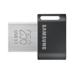 Samsung MUF-256AB unità flash USB 256 GB USB tipo A 3.2 Gen 1 (3.1 Gen 1) Grigio, Argento