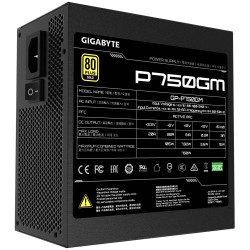 GIGABYTE P750GM alimentatore per computer 750 W 20+4 pin ATX ATX Nero