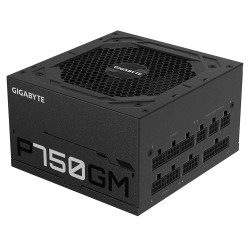 GIGABYTE P750GM alimentatore per computer 750 W 20+4 pin ATX ATX Nero